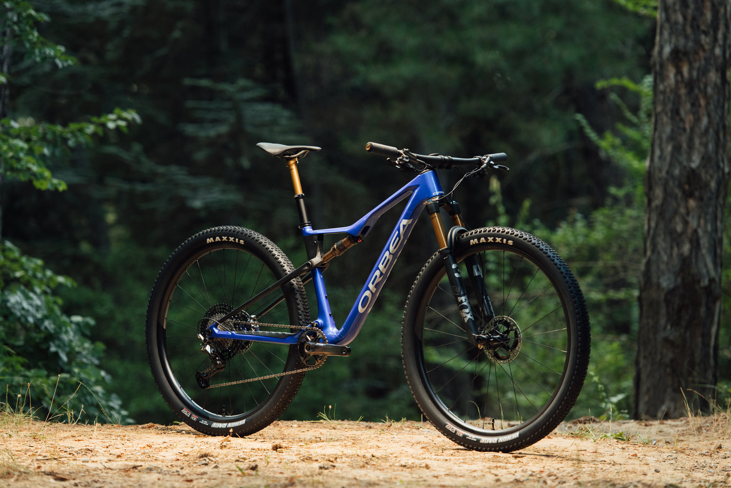 Orbea Oiz fulldempað fjallahjól í skóglendi