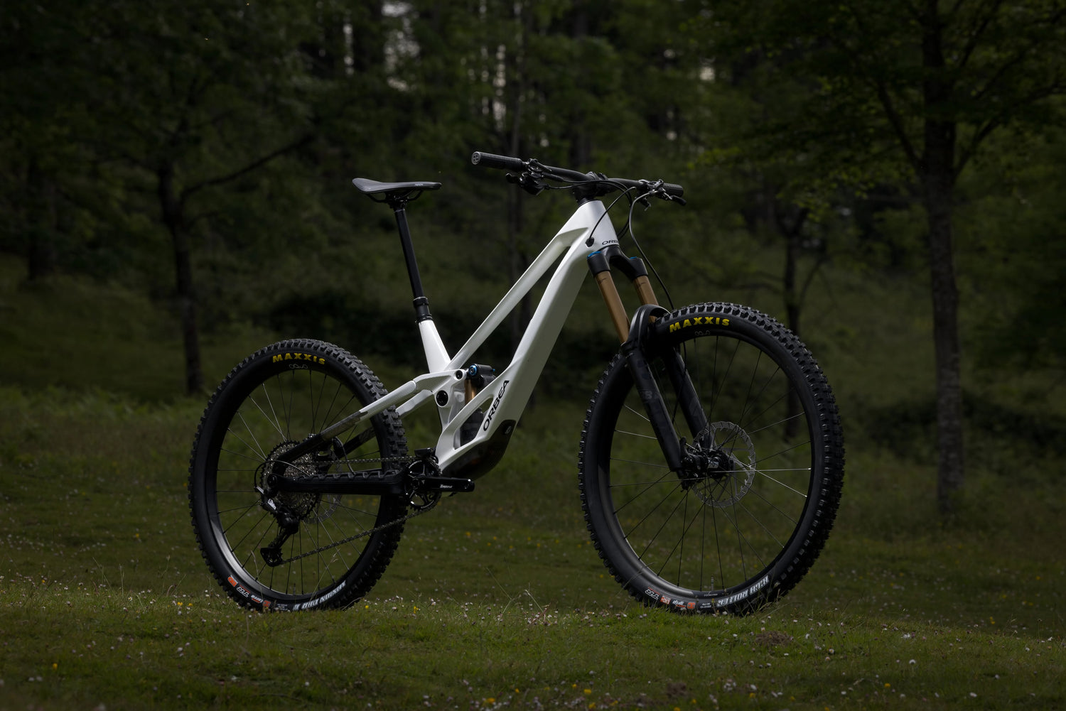 Orbea Rallon Enduro fulldempað fjallahjól í skóginum