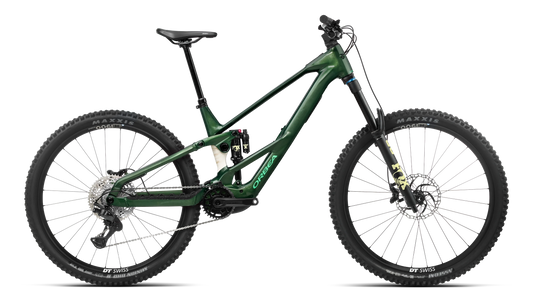 WILD LT H10 2027 - Large