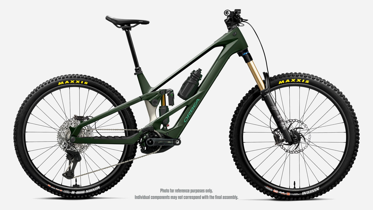 WILD LT H10 Mullet 2027