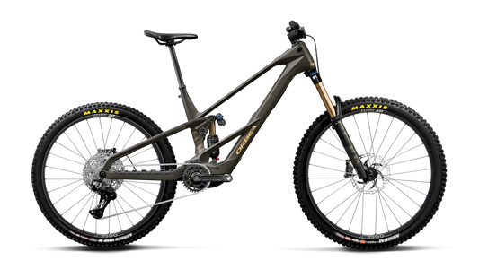 WILD LT M10 Mullet 2027