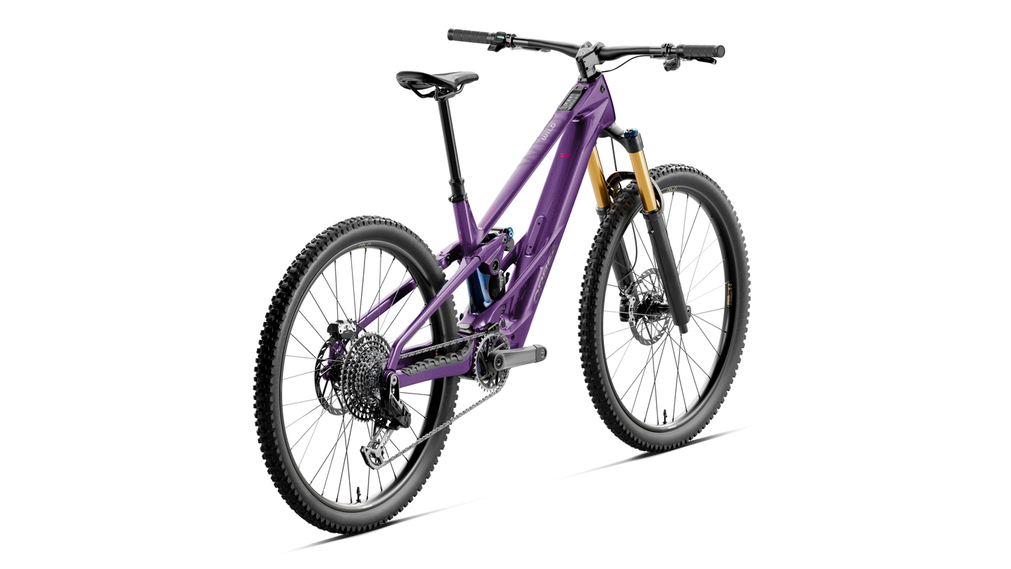 WILD LT M-TEAM RS Mullet 2027